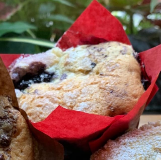 Blueberry Swirl-filled with Blueberry Compote.